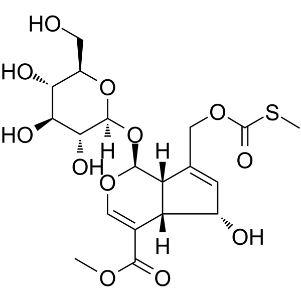 paederosidic acid methyl esterͼƬ