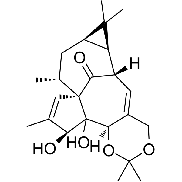 Ingenol-5,20-acetonideͼƬ