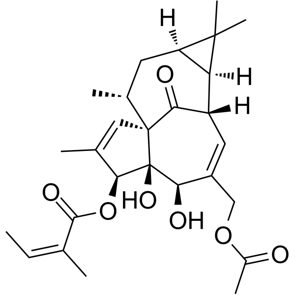 20-O-Acetylingenol-3-angelateͼƬ