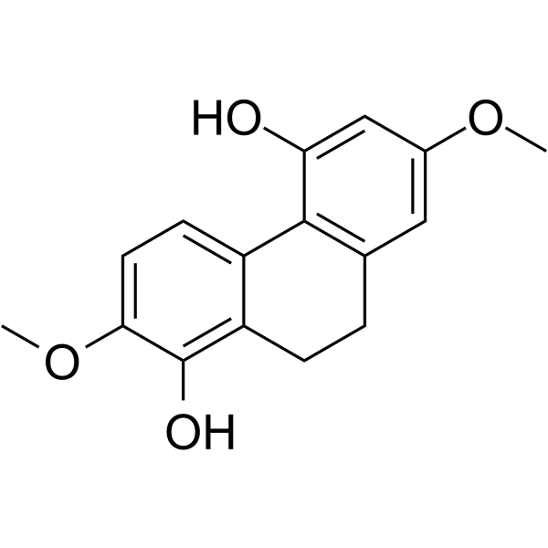 EulophiolͼƬ