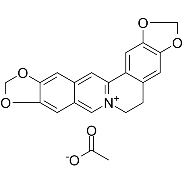 Pseudocoptisine acetateͼƬ