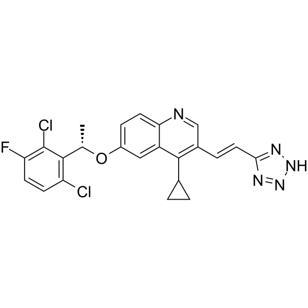 MsbA-IN-4ͼƬ