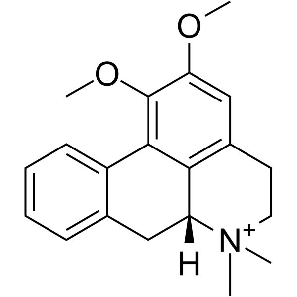 N-MethylnuciferineͼƬ