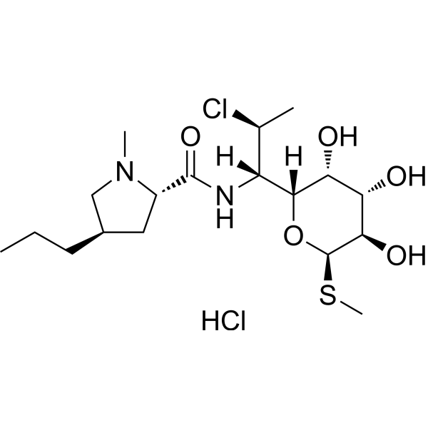 Clindamycin hydrochlorideͼƬ