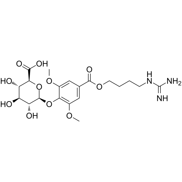 ZYZ-488ͼƬ