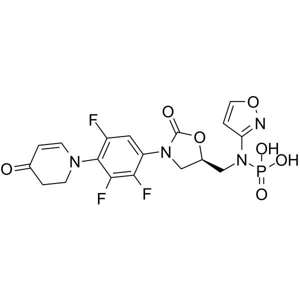 Contezolid phosphoramidic acidͼƬ