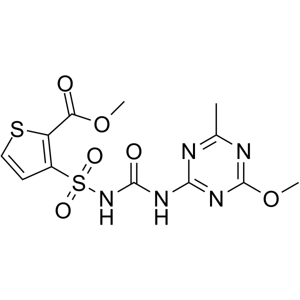 Thifensulfuron-methylͼƬ