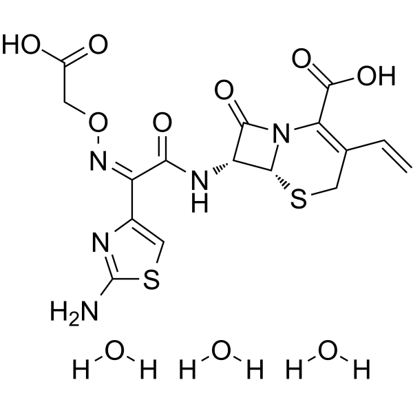 Cefixime trihydrateͼƬ