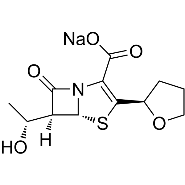Faropenem sodiumͼƬ