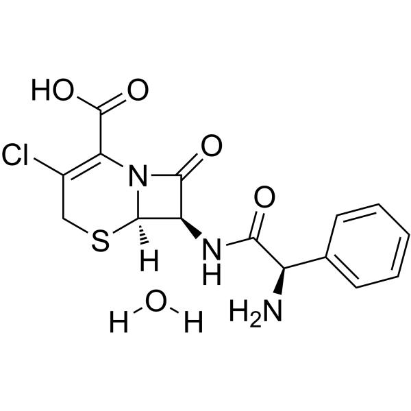 Cefaclor monohydrateͼƬ