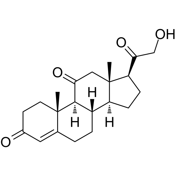 11-DehydrocorticosteroneͼƬ