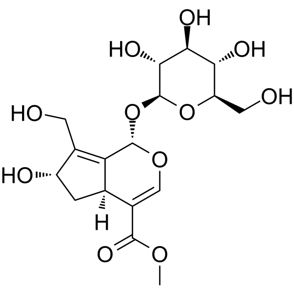 10-Hydroxy majorosideͼƬ