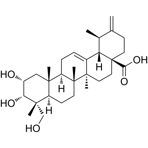 2a,3a,23-Trihydroxyurs-12,20(30)-dien-28-oic acidͼƬ