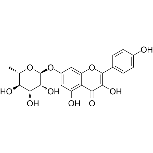 Kaempferol-7-O-rhamnosideͼƬ