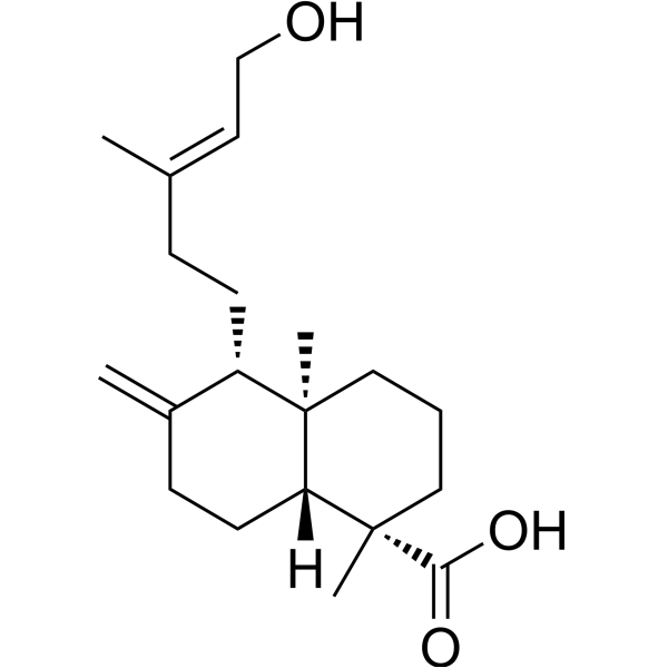 Isocupressic acidͼƬ