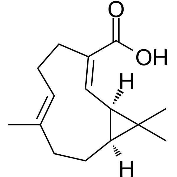 Volvalerenic acid AͼƬ