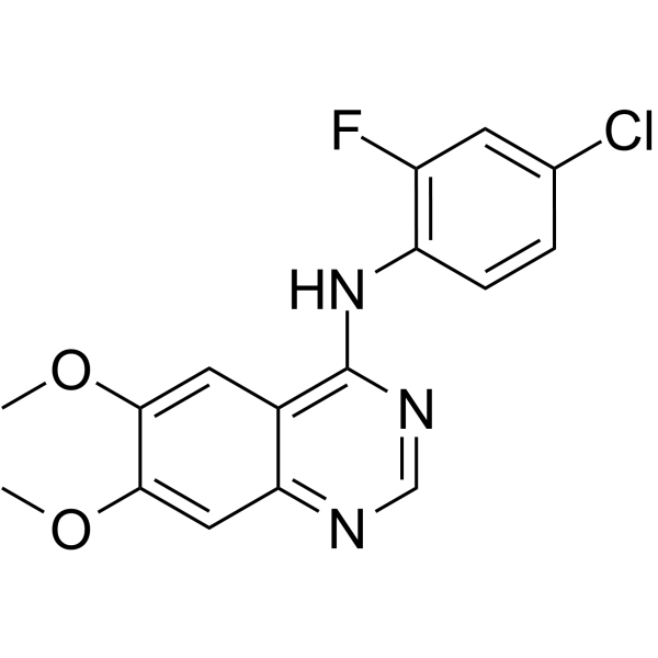 ZM 306416ͼƬ