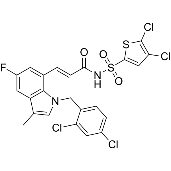 DG-041ͼƬ