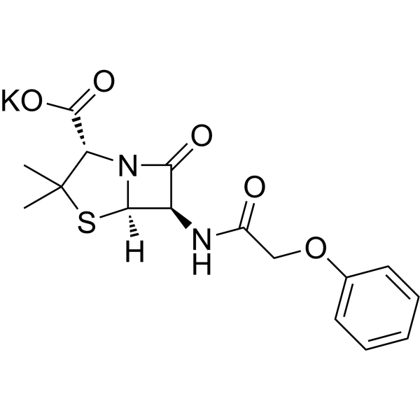 Penicillin V PotassiumͼƬ