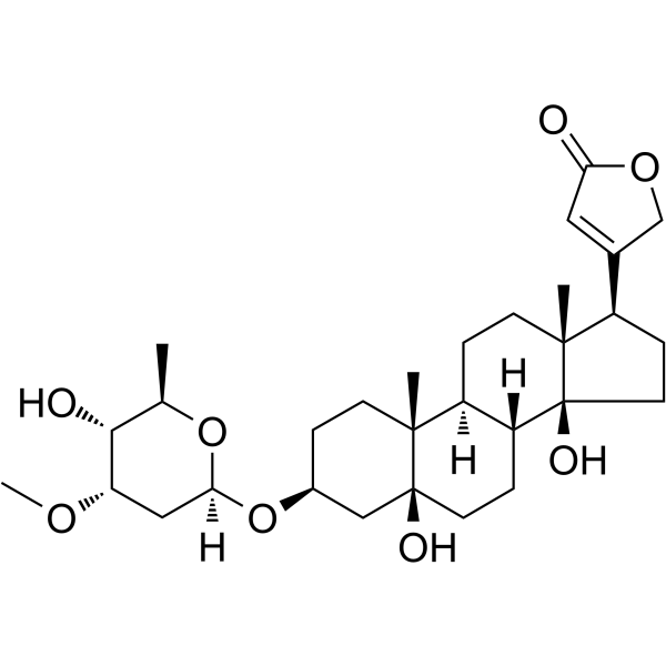 PeriplocymarinͼƬ