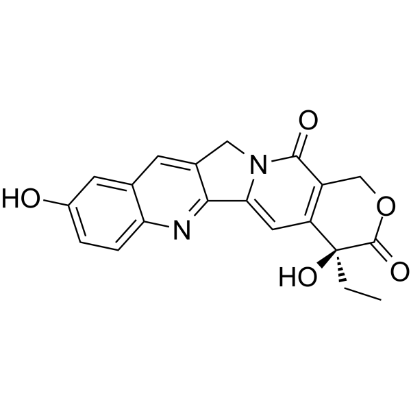 (S)-10-HydroxycamptothecinͼƬ