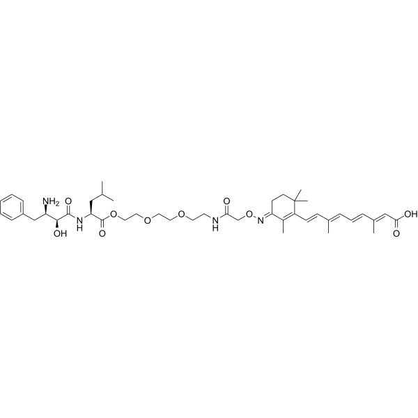 PROTAC CRABP-II Degrader-2ͼƬ