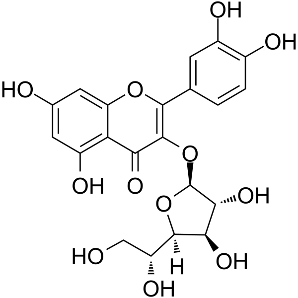 IsoquercitrinͼƬ