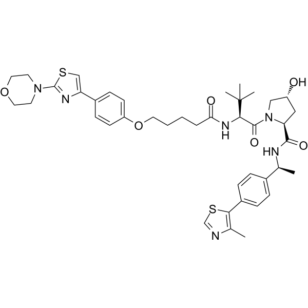 PROTAC AR-V7 degrader-1ͼƬ