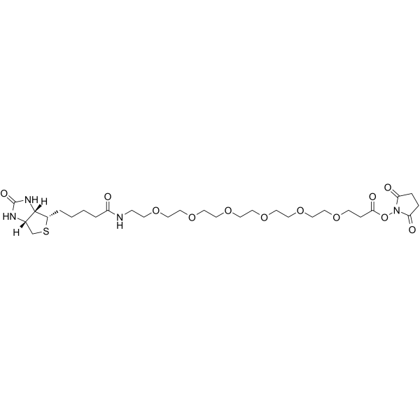 Biotin-PEG6-NHS esterͼƬ