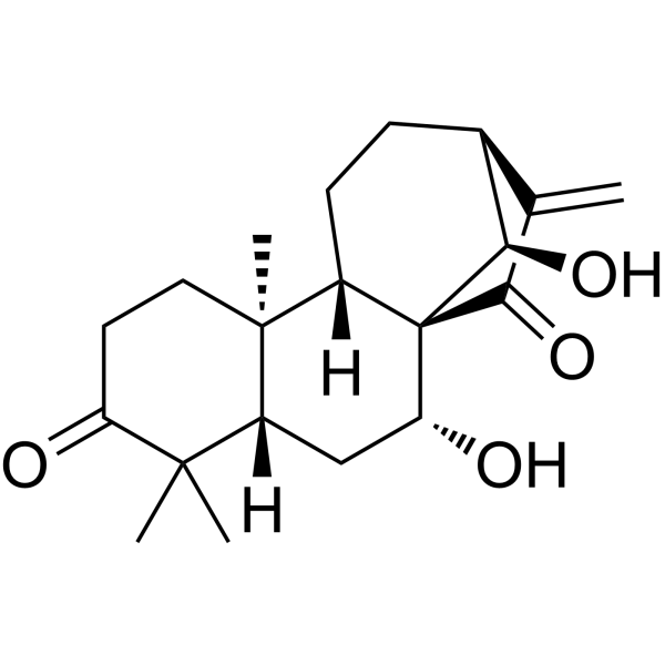 Glaucocalyxin AͼƬ