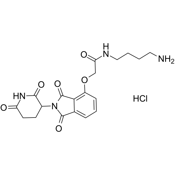 Thalidomide-O-amido-C4-NH2 hydrochlorideͼƬ