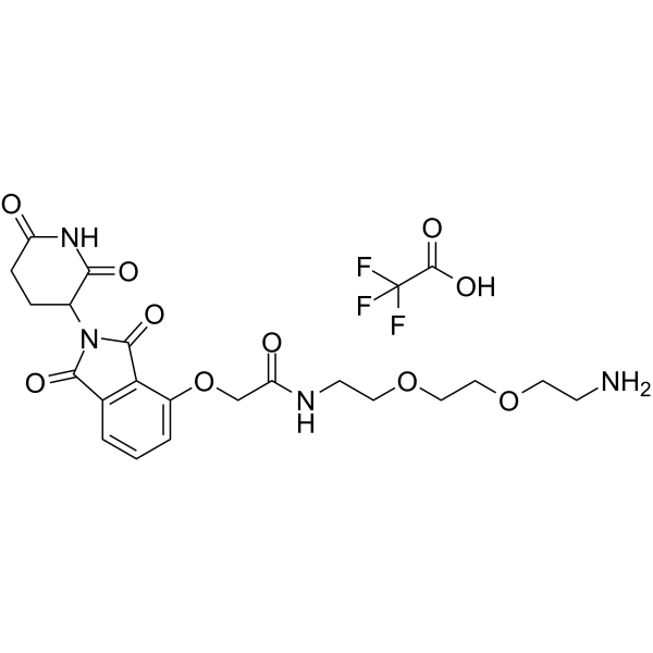 Thalidomide-O-amido-PEG2-C2-NH2 TFAͼƬ