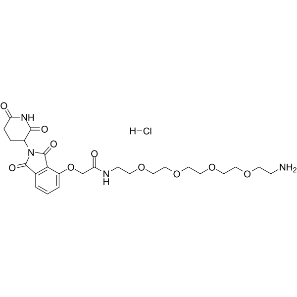 Thalidomide-O-amido-PEG4-C2-NH2 hydrochlorideͼƬ