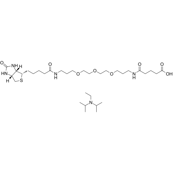 Biotinyl-NH-PEG3-C3-amido-C3-COOH(DIPEA)ͼƬ