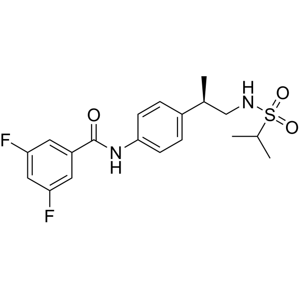 LY450108ͼƬ