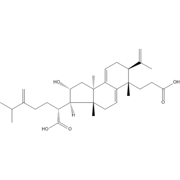 Poricoic acid AͼƬ