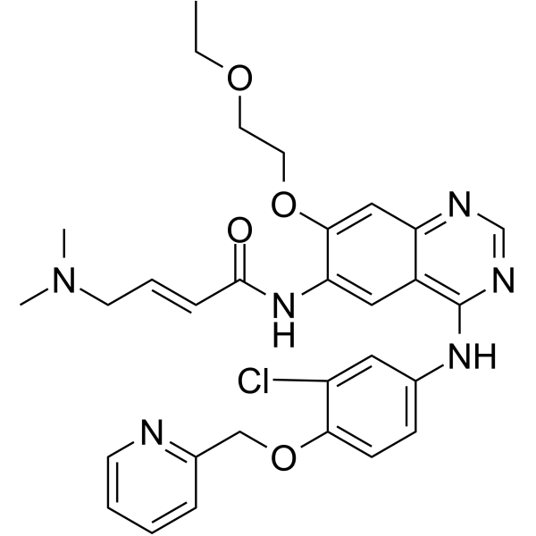 EGFR/HER2-IN-5ͼƬ