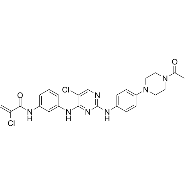 EGFR-IN-55ͼƬ