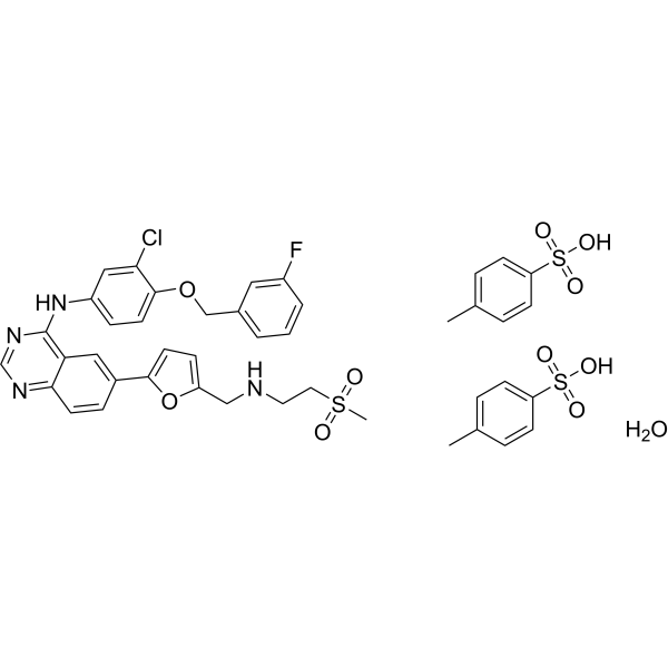 Lapatinib ditosylate monohydrateͼƬ