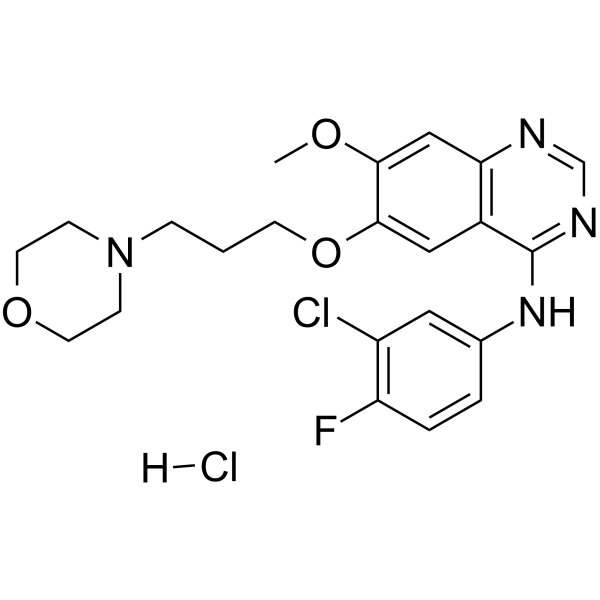 Gefitinib hydrochlorideͼƬ