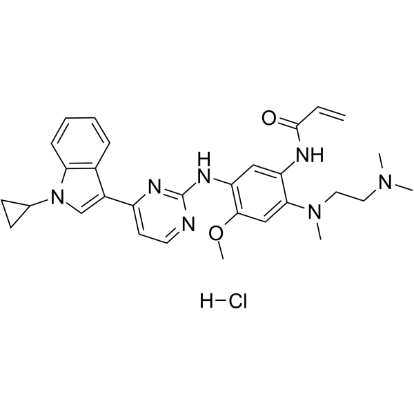 Almonertinib hydrochlorideͼƬ