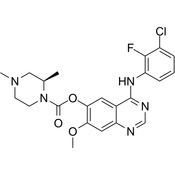 ZorifertinibͼƬ