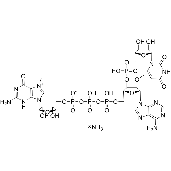 Uracil-m7GpppAmpG ammoniumͼƬ