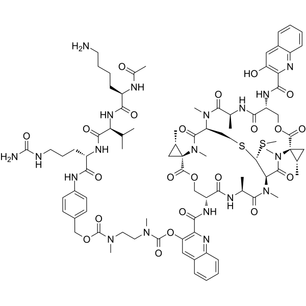 AcLysValCit-PABC-DMAE-SW-163DͼƬ