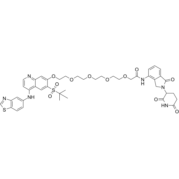 PROTAC RIPK degrader-6ͼƬ