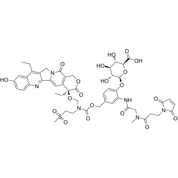 MAC glucuronide-hydroxy lactone-linked SN-38ͼƬ