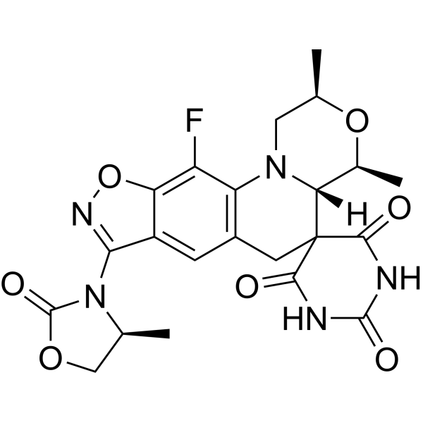 ZoliflodacinͼƬ