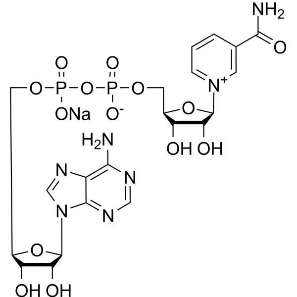 NAD sodiumͼƬ