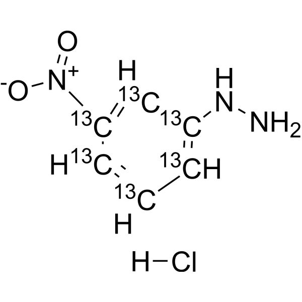 3-Nitrophenylhydrazine-13C6 hydrochlorideͼƬ