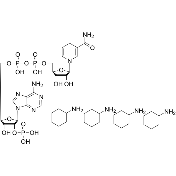 NADPH tetracyclohexanamineͼƬ